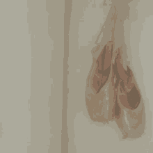 a pair of pointe shoes hanging on a wall