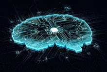 a computer circuit board in the shape of a human brain