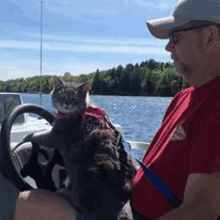 a man is driving a boat with a dog and a cat on his back .