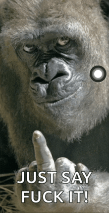 a gorilla giving the middle finger with the words just say fuck it