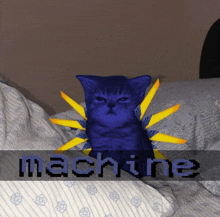 a blue cat is sitting on a bed with the word machine behind it