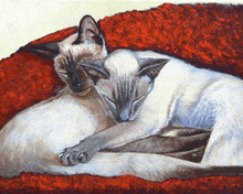 a painting of two cats sleeping on a red pillow