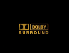 the logo for dolby surround is shown in gold on a black background