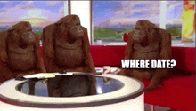 three orangutans are sitting on a red couch with the words where date written on the bottom