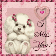 a picture of a poodle with flowers in its ears and the words " i miss you "