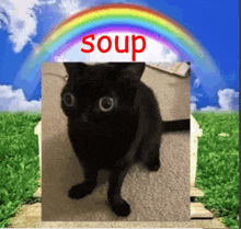 a picture of a black cat with a rainbow in the background and the word soup in red