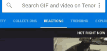 a screen shot of a website where you can search for gif and video on tenor