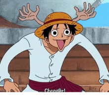 monkey d luffy from one piece is making a funny face while wearing a hat and a white shirt .