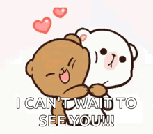 a cartoon of two teddy bears hugging each other with the words `` i can 't wait to see you ! ''