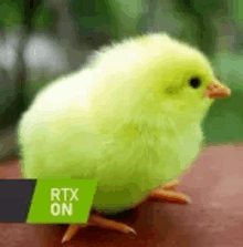 a small yellow chicken is sitting on a table next to a gtx logo .