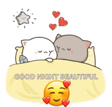 a couple of cats laying in bed with hearts coming out of them and the words good night beautiful