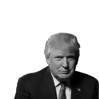 a black and white photo of donald trump in a suit and tie against a white background