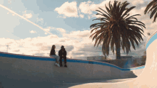 a man and a woman sit on the edge of a skate park with a palm tree in the background