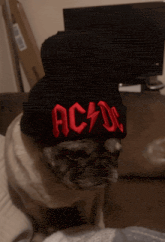 a pug wearing a black hat that says ac dc on it