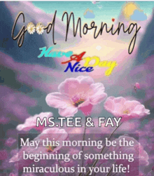 a picture of pink flowers with the words good morning have a nice day