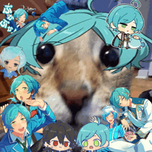 a collage of anime characters and a cat with chinese characters on it