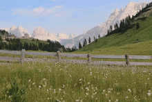 a wooden fence in a field with mountains in the background