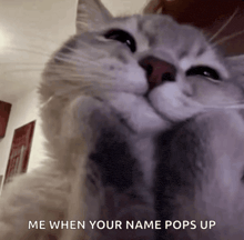 a close up of a cat with the words me when your name pops up above it