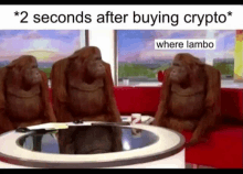 a group of orangutans are sitting on a couch in front of a table .