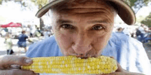 a man is eating corn on the cob in a park .