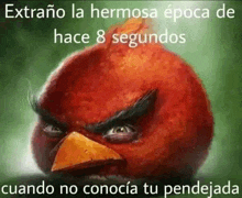 an angry bird with the words extraño la hermosa epoca de hace 8 segundos cuando no conocia tu pendejada