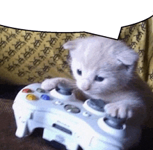 a kitten is playing a video game with a controller on a couch .