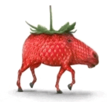 a strawberry shaped like a horse with legs and a green stem on its head .