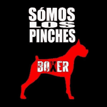 a picture of a boxer with the words somos los pinches