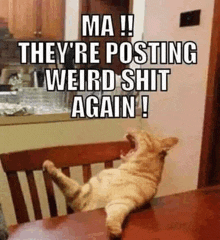 a cat is sitting at a table with its mouth open and a meme that says ma they 're posting weird shit again !