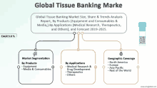 a diagram shows the global tissue banking market size