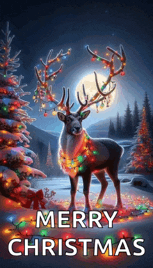 a reindeer with christmas lights on its antlers is standing in front of a christmas tree ..