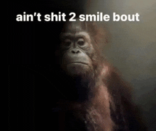 a picture of a gorilla with the words " ain 't shit 2 smile bout " below it