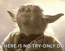 a picture of yoda with the words there is no try-only do behind him