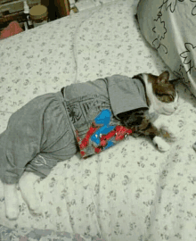 a cat is laying on a bed wearing a spiderman shirt .