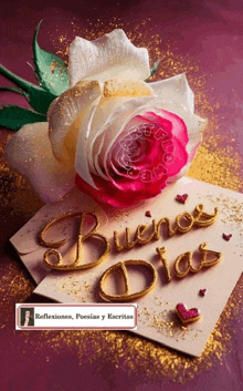 a card with a rose and the words buenos dias written on it