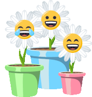 three potted flowers with smiley faces on them are laughing and crying