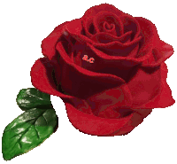 a red rose with a green leaf and the words ac on it