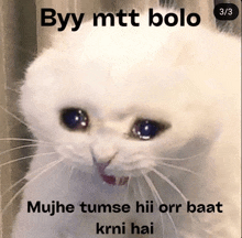 a picture of a cat with the words byy mtt bolo on it