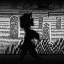 a black and white photo of a cemetery with a shadow of a person walking in front of some graves