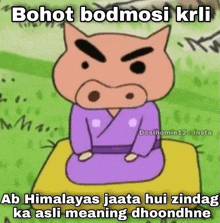 a cartoon pig is sitting on a blanket with a caption that says bohot bodmosi krli .