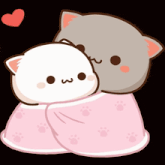 a couple of cats wrapped in a pink blanket with a heart in the background