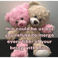 a pink teddy bear and a brown teddy bear are hugging each other with a caption saying this could be us