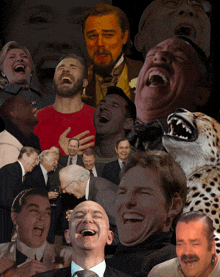 a collage of laughing faces including a cheetah