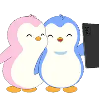 two penguins are taking a picture of themselves with a phone