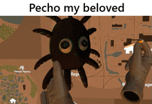 a person holding a stuffed spider with the words pecho my beloved on the bottom