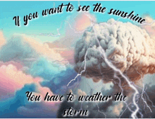 a poster that says if you want to see the sunshine you have to weather the storm on it