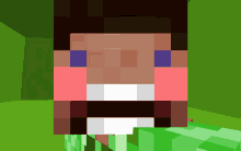 a close up of a minecraft character 's face against a green background