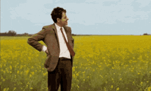 a man in a suit is standing in a field of yellow flowers