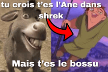 a picture of a donkey next to a picture of a man with the words tu crois t'es l'ane dans shrek