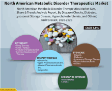 the north american metabolic disorder therapeutics market is shown